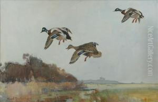 Mallards Inflight Oil Painting by Frank Southgate