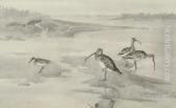 Mixed Waders On The Foreshore Oil Painting by Frank Southgate