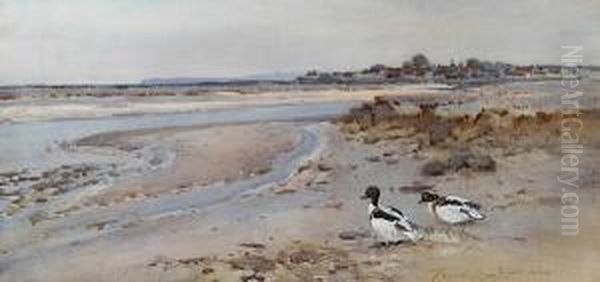 Shelduck At Low Tide, Looking Towards Burnham Overy by Frank Southgate