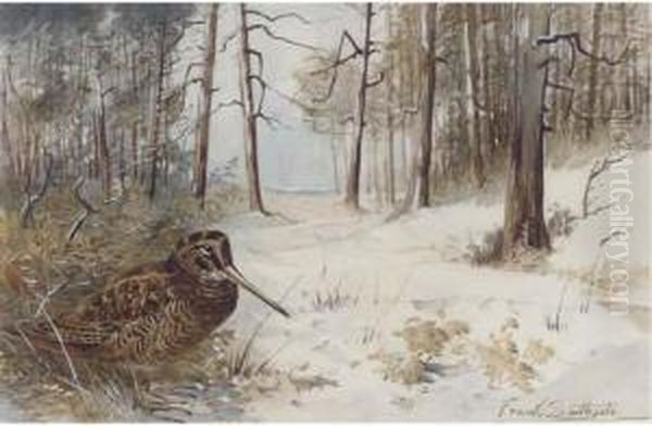 Woodcock In Winter Oil Painting by Frank Southgate