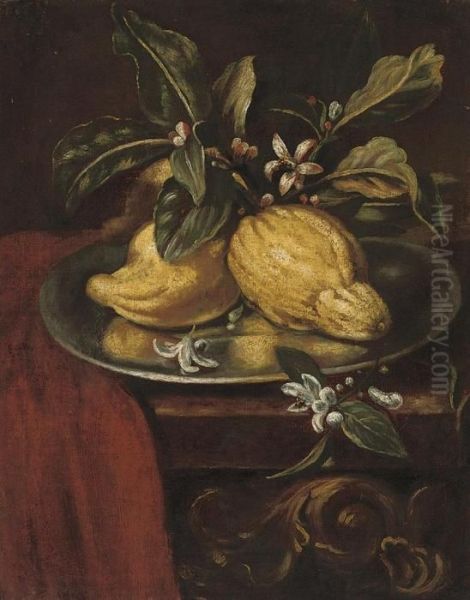 Lemons And Blossom On A Partly-draped Table Oil Painting by Giovanni Paolo Castelli Spadino