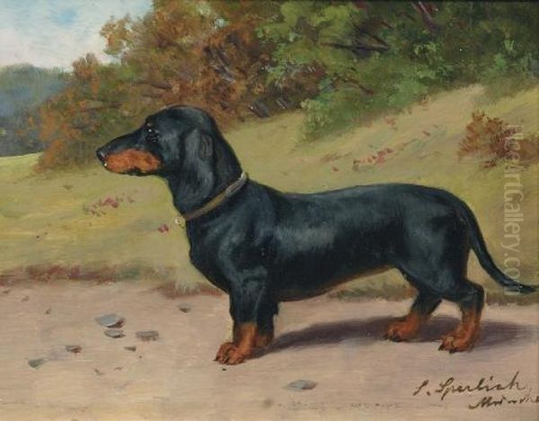 The Dachshund Oil Painting by Sophie Sperlich