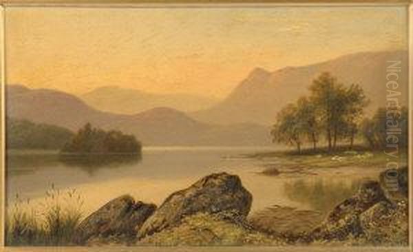 Sheep At A Lochside Oil Painting by Thomas Spinks