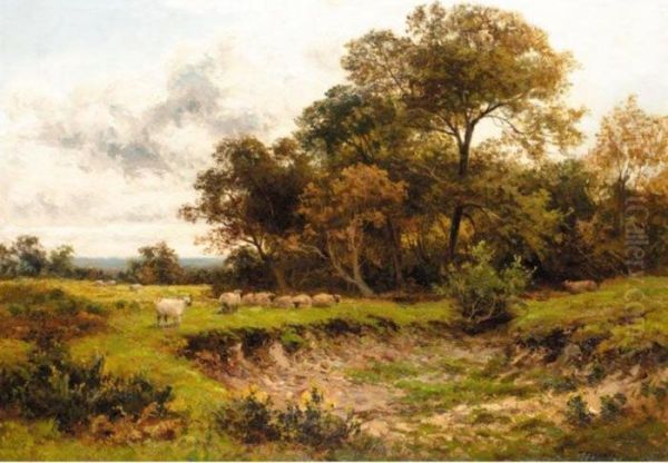 Sheep Grazing In Parkland Oil Painting by Thomas Spinks