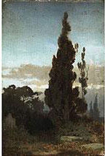 Zypressenlandschaft In Abendstimmung Oil Painting by August Karl Martin Splitgerber