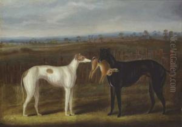 Pair Of Greyhounds With A Hare Oil Painting by Samuel Spode