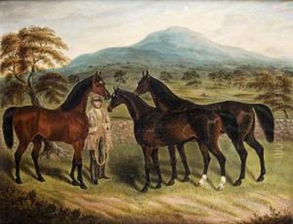 Three Horses With A Man Holding A Bridle In A Tipperarymountainscape Oil Painting by Samuel Spode