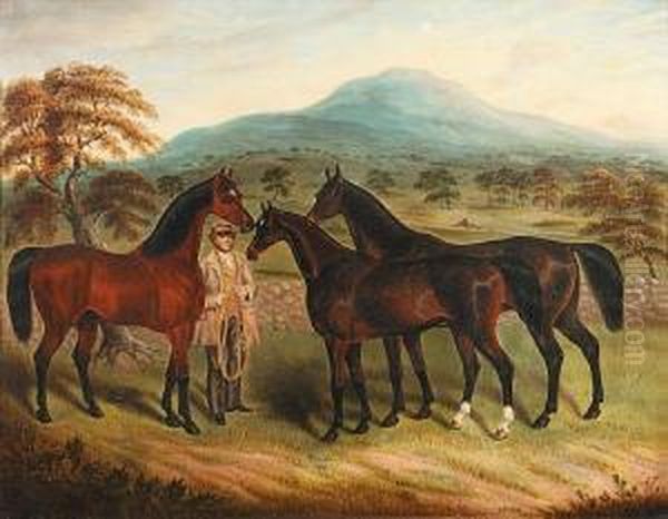 Three Horses And A Groom Oil Painting by Samuel Spode