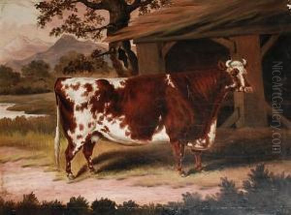 A Prize Cow Oil Painting by Samuel Spode