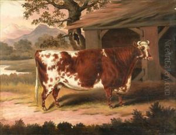 Study Of A Cow By A Stable Oil Painting by Samuel Spode