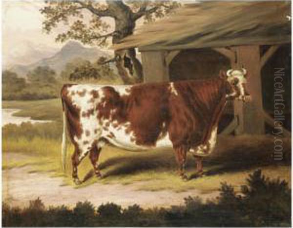 Potrait Of A Cow Oil Painting by Samuel Spode