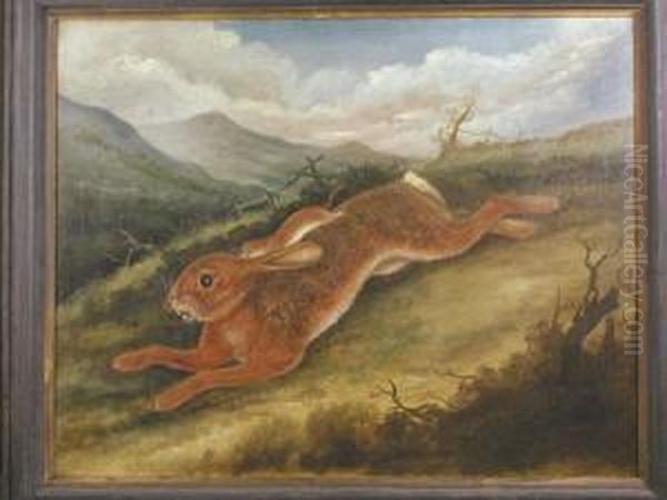 A Rabbit And A Weasel Oil Painting by Samuel Spode