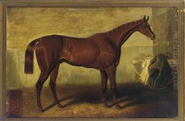 A Bay Racehorse In A Stable Oil Painting by Samuel Spode