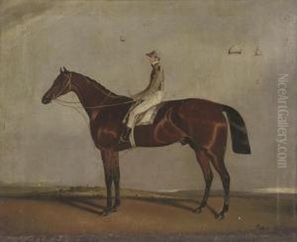 A Chestnut With Jockey Up, A Race Course Beyond Oil Painting by Samuel Spode