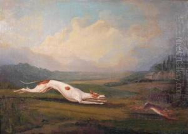 Hare Coursing Oil Painting by Samuel Spode