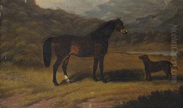 Connemara Pony And Water Spaniel In A River Landscape Oil Painting by Samuel Spode