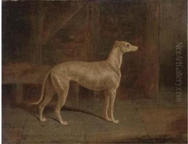 A Prize Greyhound In An Interior Oil Painting by Samuel Spode