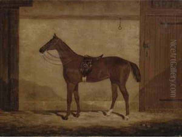 A Chestnut Hunter In A Stable Oil Painting by Samuel Spode