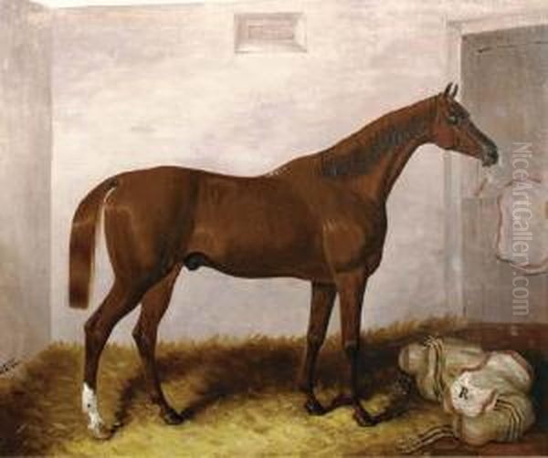 A Bay Horse In A Stable Oil Painting by Samuel Spode