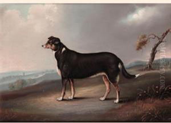 Dog In A Landscape Oil Painting by Samuel Spode