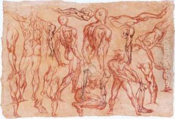 A Sheet Of Studies Of Male Nudes And Echorchee Figures Oil Painting by Bartholomaeus Spranger