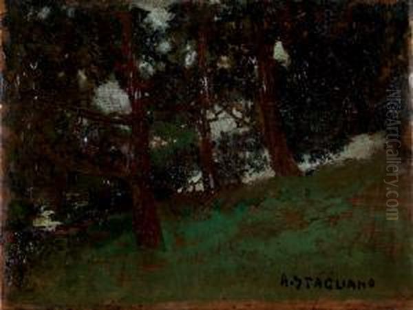 Nel Bosco Oil Painting by Arturo Stagliano