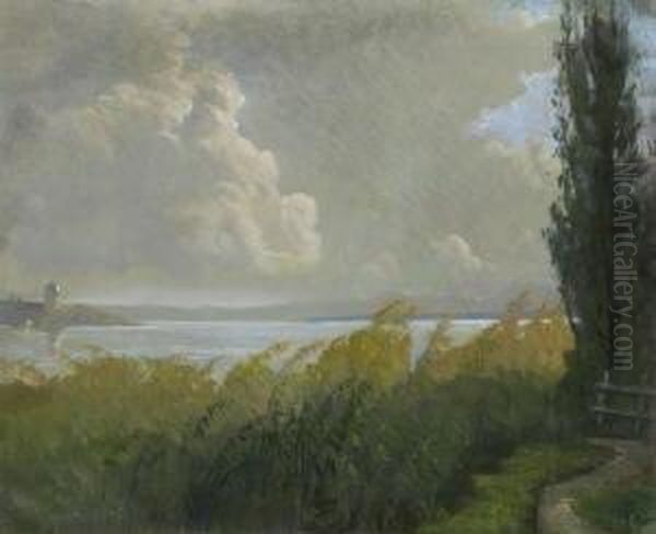 Am Ufer Des Chiemsees. Oil Painting by Albert Stagura