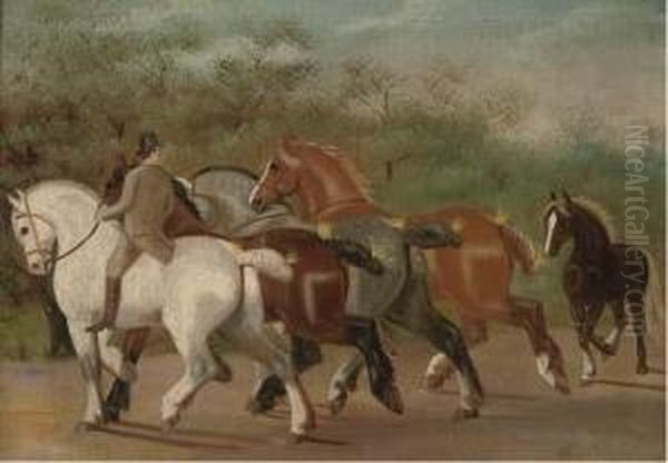 Shire-horses At Exercise Oil Painting by Henry William Standing