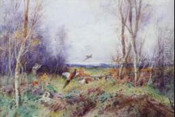 Pheasant Shooting Oil Painting by Henry Stannard