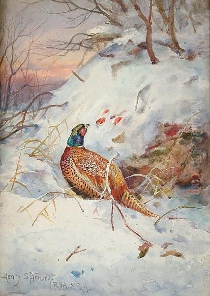 A Pheasant Foraging For Berries In A Snowscape Oil Painting by Henry Stannard