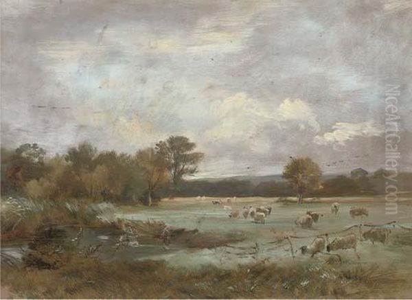 On Hale Farm Water Meadows Oil Painting by Arthur James Stark