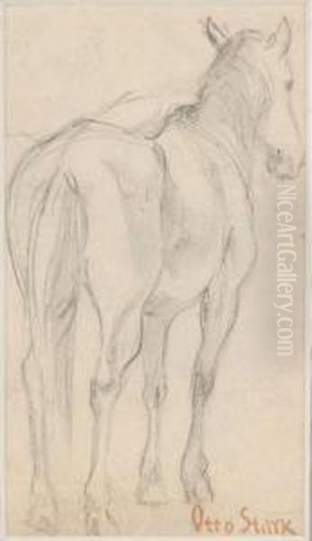 Sketch Of A Horse Oil Painting by Otto Stark