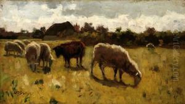 Grazing Sheep Oil Painting by Willem II Steelink