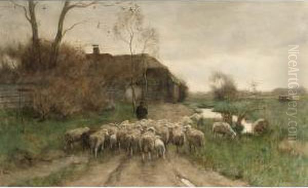 Sheep Going To The Stable Oil Painting by Willem II Steelink