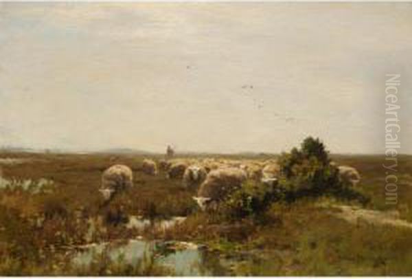 A Flock Of Sheep Drinking Oil Painting by Willem II Steelink