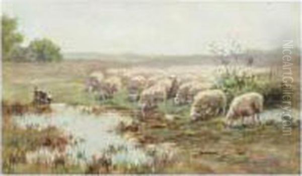 A Flock Of Sheep Oil Painting by Willem II Steelink