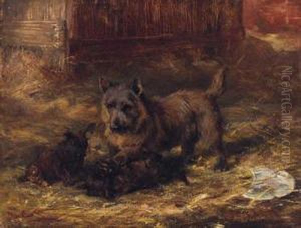 Puppies Playing Oil Painting by David George Steell