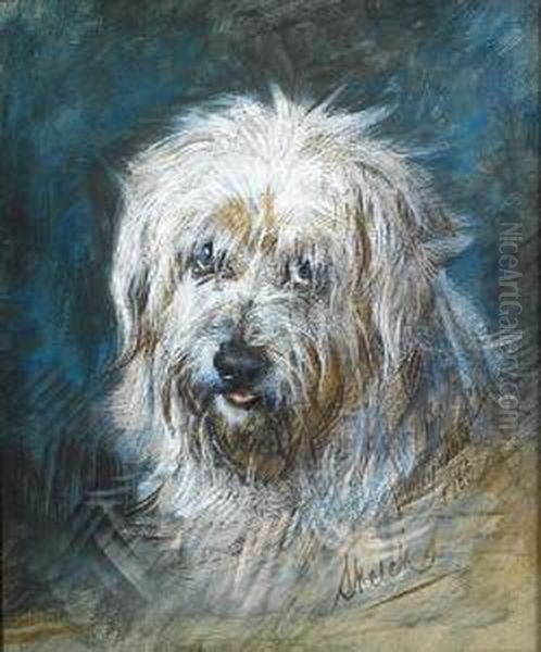 Sketch, A West Highland Terrier Oil Painting by Gourlay Steell