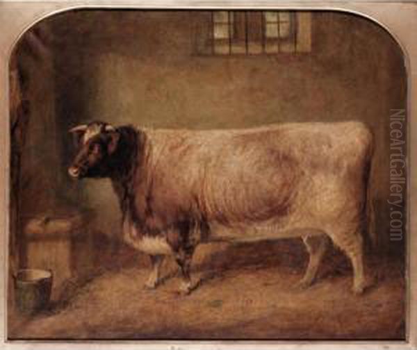 A Prize Shorthorn In A Stable Oil Painting by Gourlay Steell