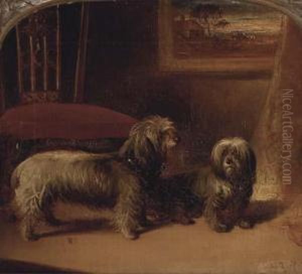 Two Dandie Dinmont Terriers In An Interior Oil Painting by Gourlay Steell