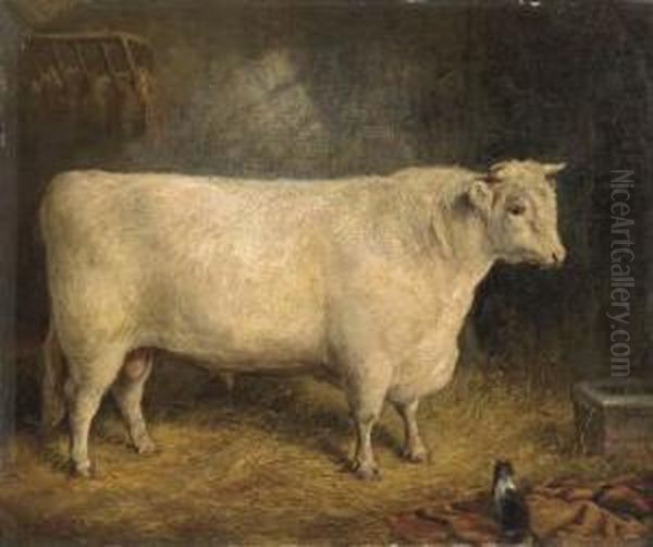 A Prize Bull Oil Painting by Gourlay Steell