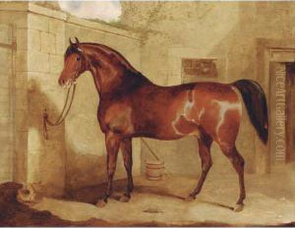 A Bay Stallion Outside A Stable Oil Painting by Gourlay Steell