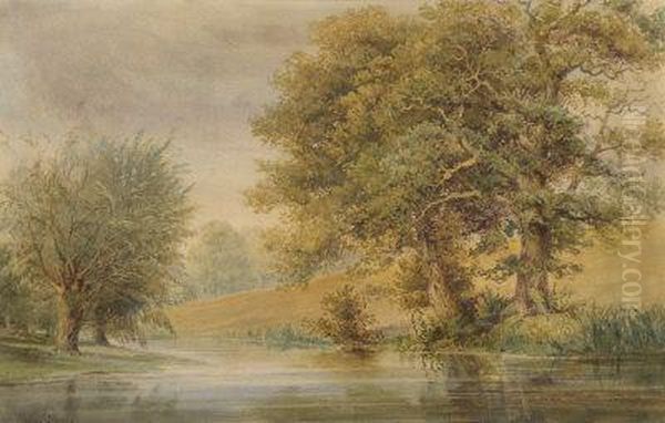 Trees On A River Bank Oil Painting by John Steeple