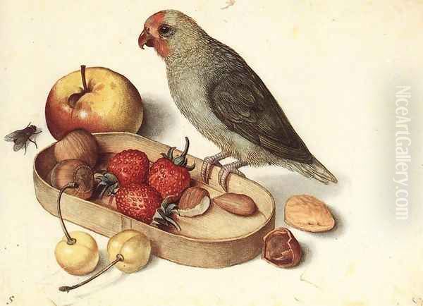 Still-Life with Pygmy Parrot Oil Painting by Georg Flegel