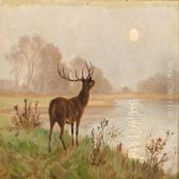 A Deer In The Morning Light Oil Painting by Poul Steffensen