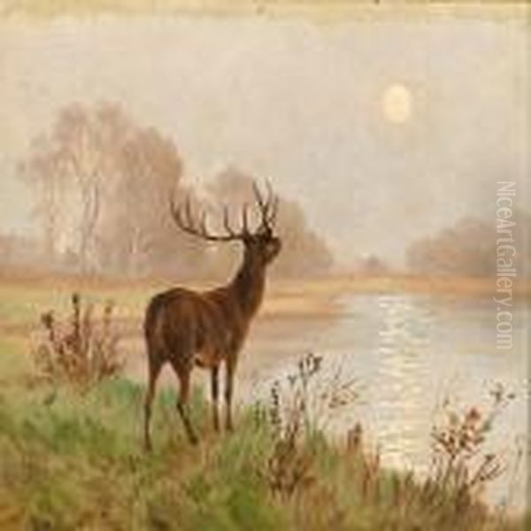 A Deer Caught In The Morning Light Oil Painting by Poul Steffensen