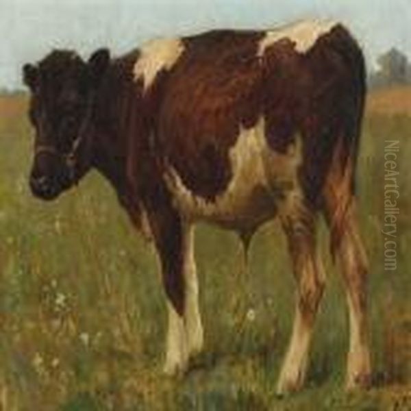 Bull Calf. Oil Painting by Poul Steffensen