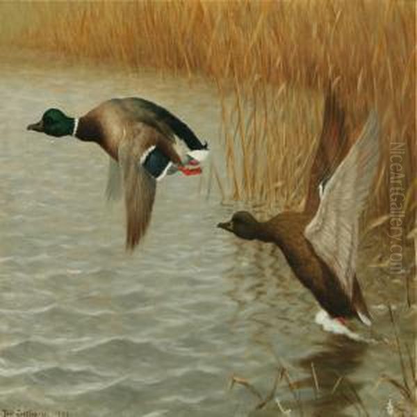 Flying Ducks Oil Painting by Poul Steffensen