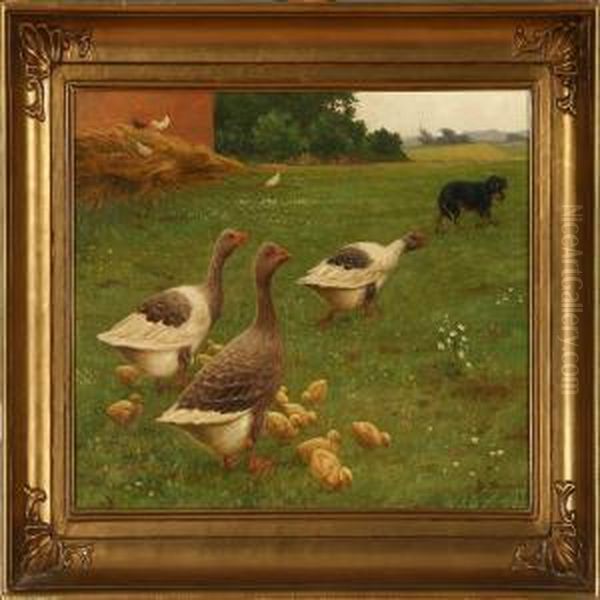 Geese Quacks A Dogaway by Poul Steffensen