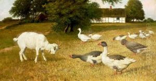 A Goat, Ducks And Geese In The Field. Signed P. St. 1905 Oil Painting by Povl Steffensen